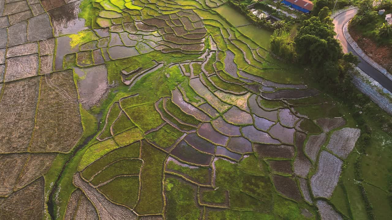 vista aérea de campos de arroz y plantaciones de arroz en el área rural de pokhara, nepal