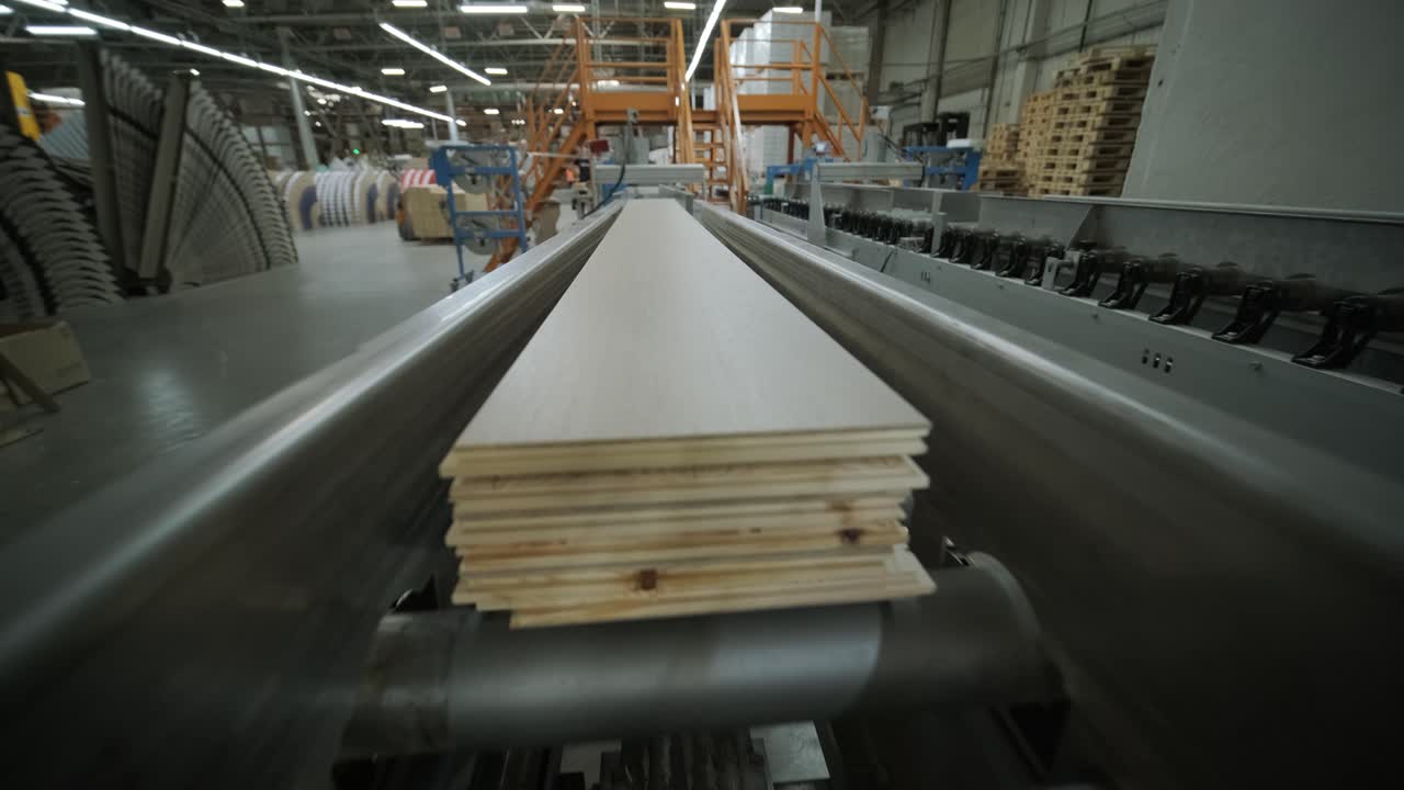 Wooden Planks Moving Along Conveyor Belt in Factory