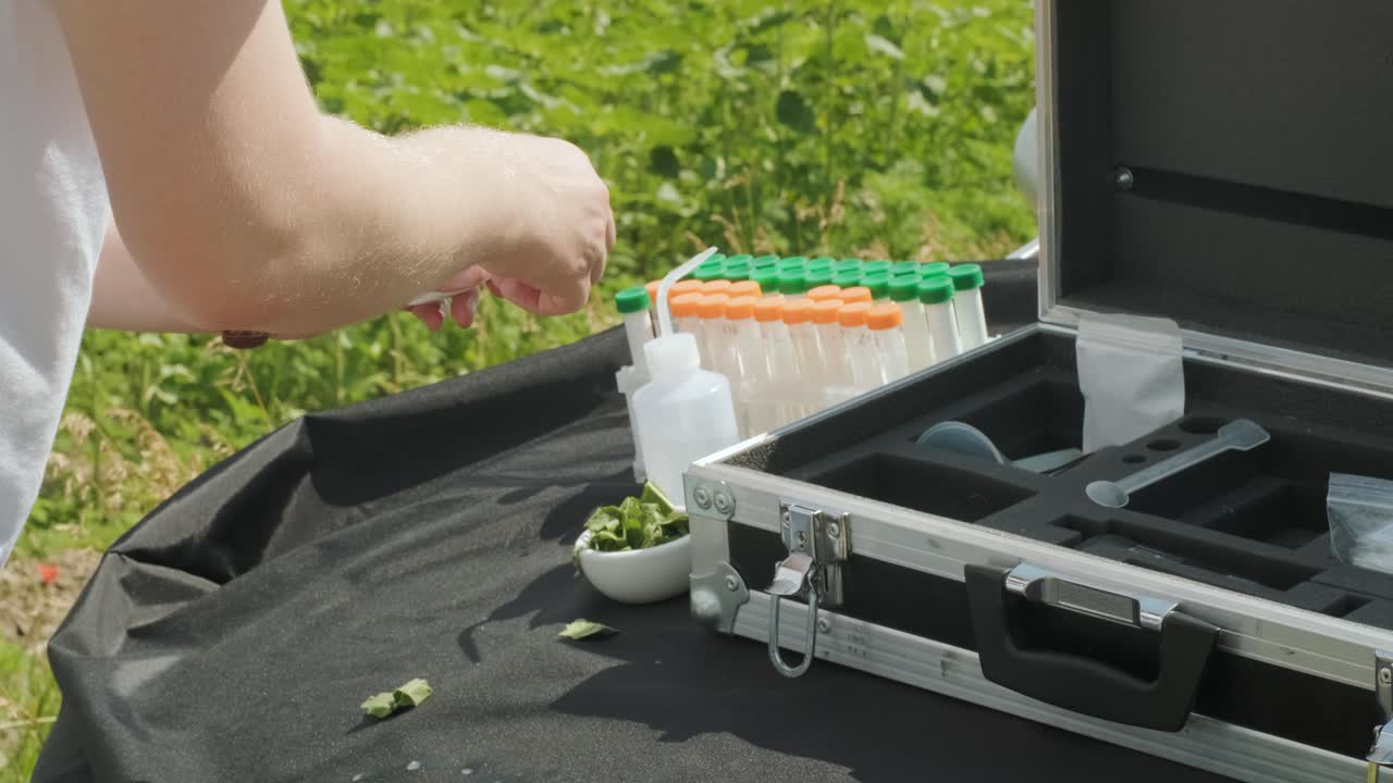 실험실 직원이 전문적인 유리를 들고 에서 수확하기 전에 식물 을 테스트합니다.