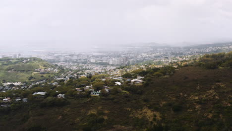 toma aérea de acercamiento de drones moviéndose a través de palmeras en hawai