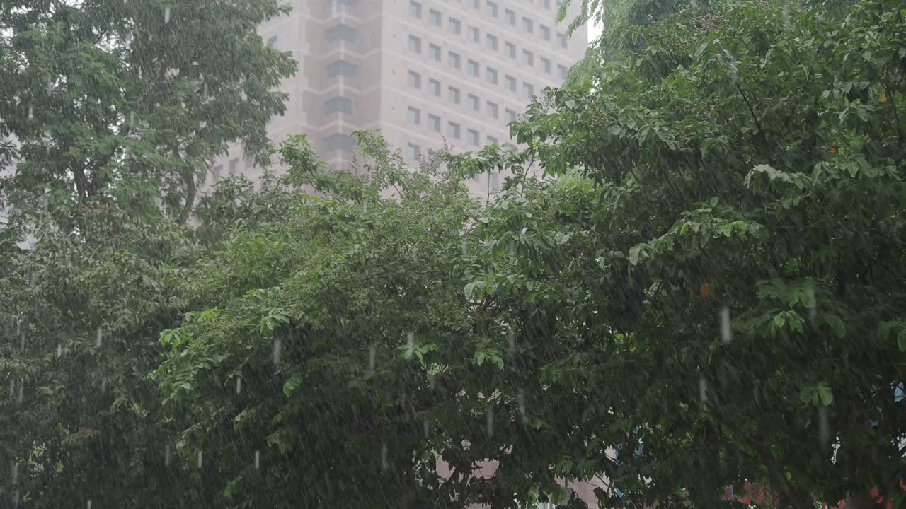 Heavy rain falling on green trees with a building in the background