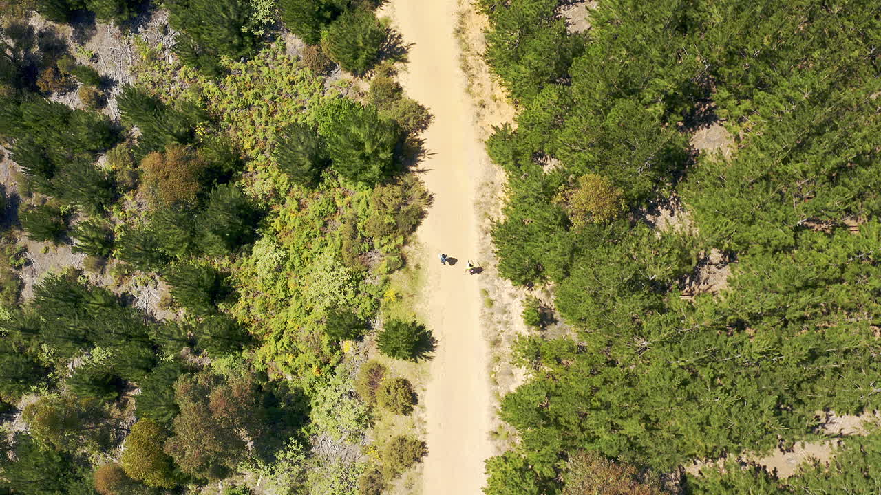 dar un paseo por el lado salvaje