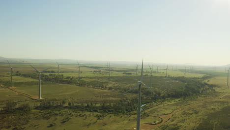 Donde-Hay-Viento-Hay-Un-Camino