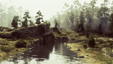 tranquil riverside landscape with lush trees and rocky outcrops in mist