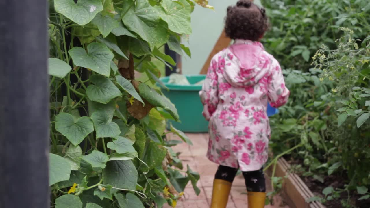 niña africana juguetona con impermeable rosa riega plantas en el jardín, de mano