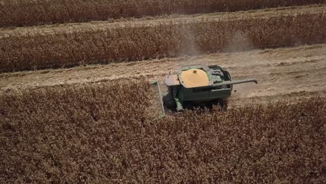 combine harvester in corn field