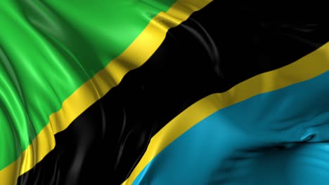 hermosa animación en 3d de la bandera de tanzania en modo de bucle