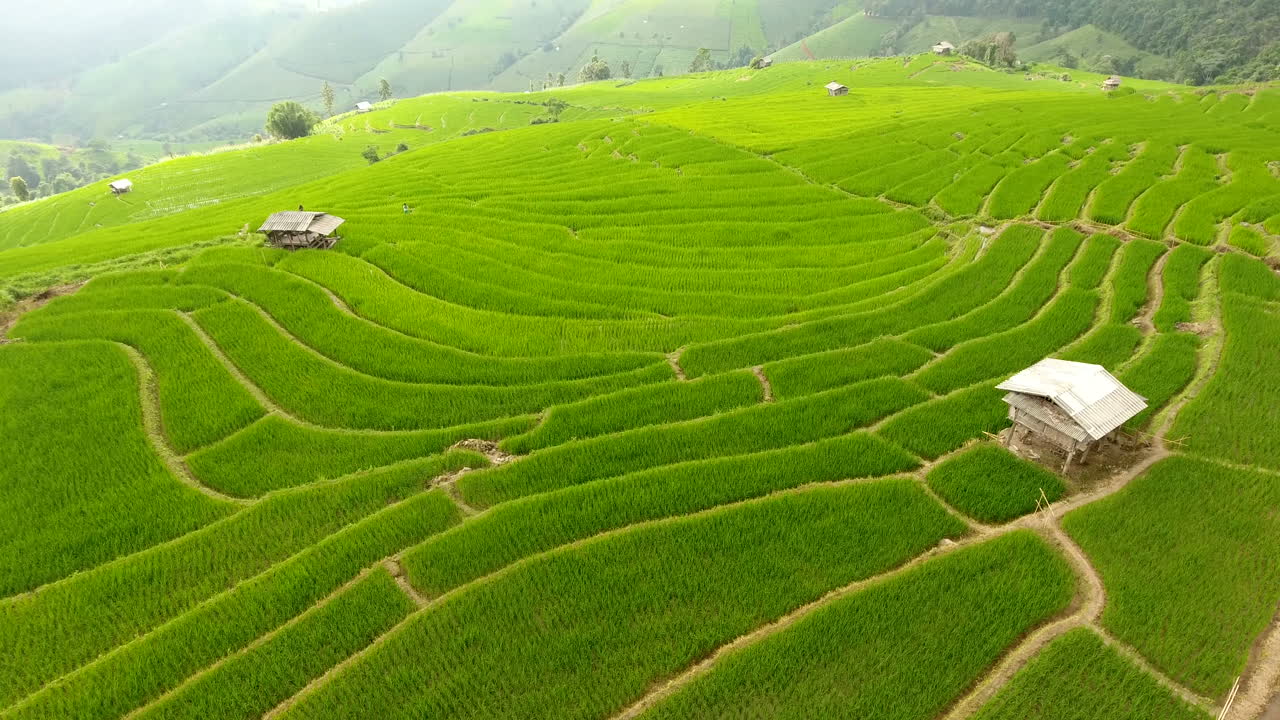 산악 농경지에 있는  ⁇  ⁇  ⁇  테라스.