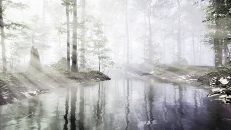 misty morning light dances on peaceful forest river near tranquil trees