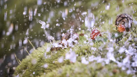 close-up wildlife of a and wild strawberries and snail in heavy rain in the forest. shot on super slow motion camera 1000 fps.