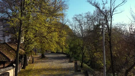 Drohne-Fliegt-An-Einem-Sonnigen-Morgen-über-Bäume-In-Einem-Ruhigen-Park-In-Kraljevo,-Serbien