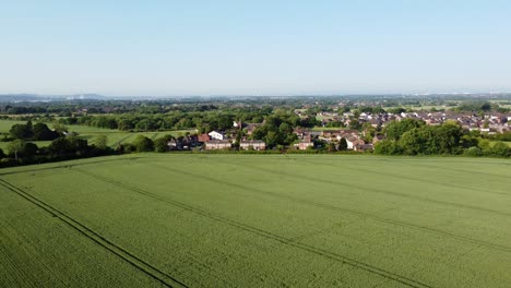 Vista-Aérea-Del-Pueblo-Inglés-Al-Borde-De-Los-Cultivos-De-Trigo-Orgánico-Verde-Que-Crecen-En-Tierras-De-Cultivo-Durante-El-Amanecer-Temprano-En-La-Mañana