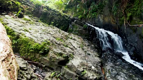 iconic jungle waterfall in puerto rico, motion view