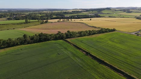 Farms-in-Scotland-during-summer-evening