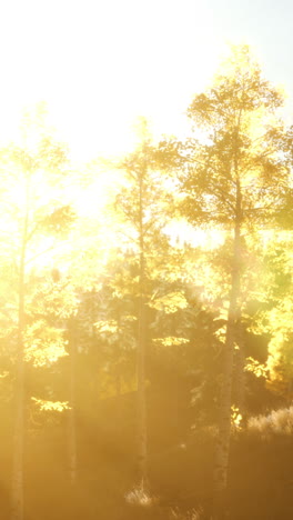 mountain autumn landscape with yellow forest