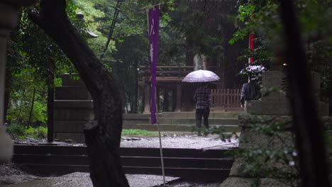 Many-Japanese-daily-go-to-Shinto-temples-to-pray-and-ask-for-good-health,-luck-and-fortune