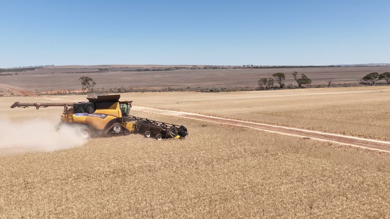 este material captura la sinergia de la tecnología agrícola moderna, mostrando el papel esencial de los frentes de cabecera en el proceso de cosecha de trigo
