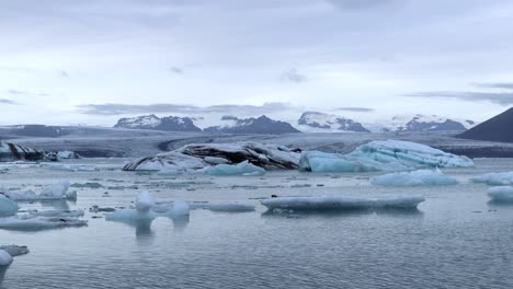 seal swimming in between ice rocks of jökulsárlón glacier in iceland pan, 4k