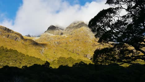 Impresionantes-Montañas-Con-árbol-En-Primer-Plano.