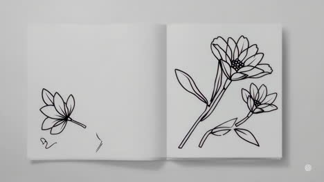 line art flower illustrations in an open book