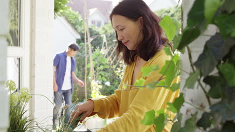 Reife-Asiatische-Frau-Pflanzt-Holzbehälter-Im-Vordergrund-Des-Sommergartens,-Während-Ihr-Mann-Dahinter-Blumen-An-Gartenstöcke-Bindet-–-Aufgenommen-In-Zeitlupe