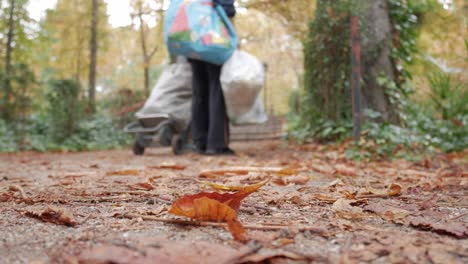 couple walking on autumn path in park