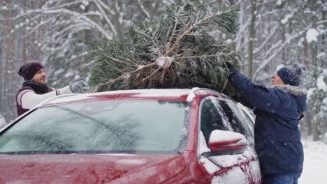 man with senior father almost ready for christmas