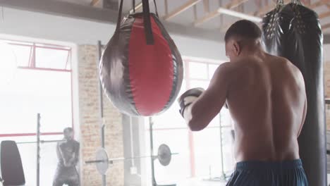 video of back view of fit african american man boxing at gym