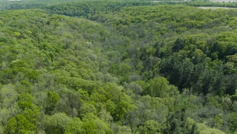 aerial rising tilt shot over a mountainous ground covered in thick evergreen foliage