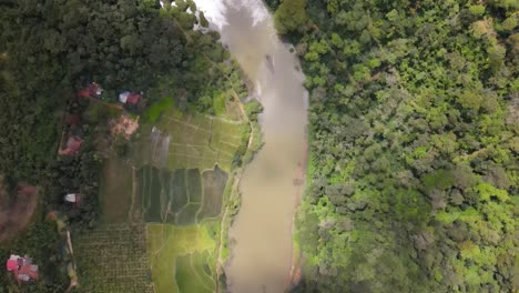 aerial top down shot of dirty river flowing in india surrounded by idyllic fields and tropical forest in sunlight