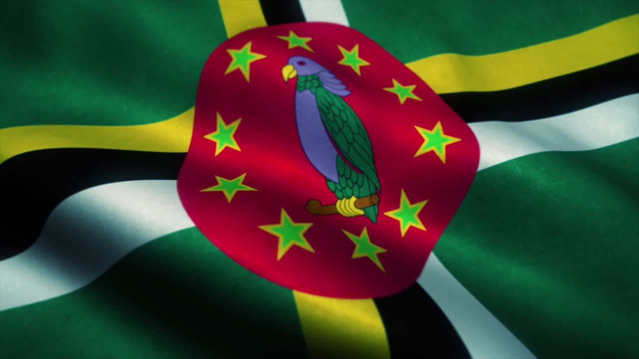 도미니카 발이 바람에 흔들리는 도미미니카의 국기, 도미니커의 표지판, 도미네카의 무결 루프 애니메이션.