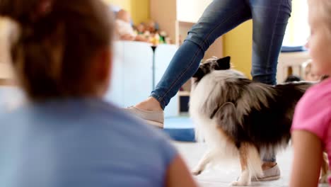 Perro-De-Servicio-Trabajando-Con-Niños-En-El-Preescolar.