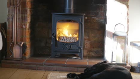 dog lying in front of lit wood burning stove