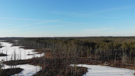 beautiful aerial view of frozen swamp lake and forest with dead trees in cena mire nature preserve on a sunny day in latvia