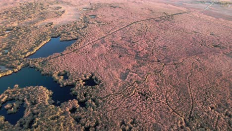 Sümpfe-Im-Sultan-Marshes-Nationalpark,-Schwenk-In-Richtung-Berge-In-Der-Türkei,-Drohne-Aus-Der-Luft