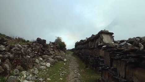 Langtang-trek-in-a-cloudy-day---Nepal