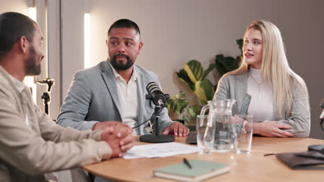 podcast interview with business professionals