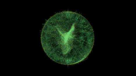 las neuronas de fibra óptica, las células