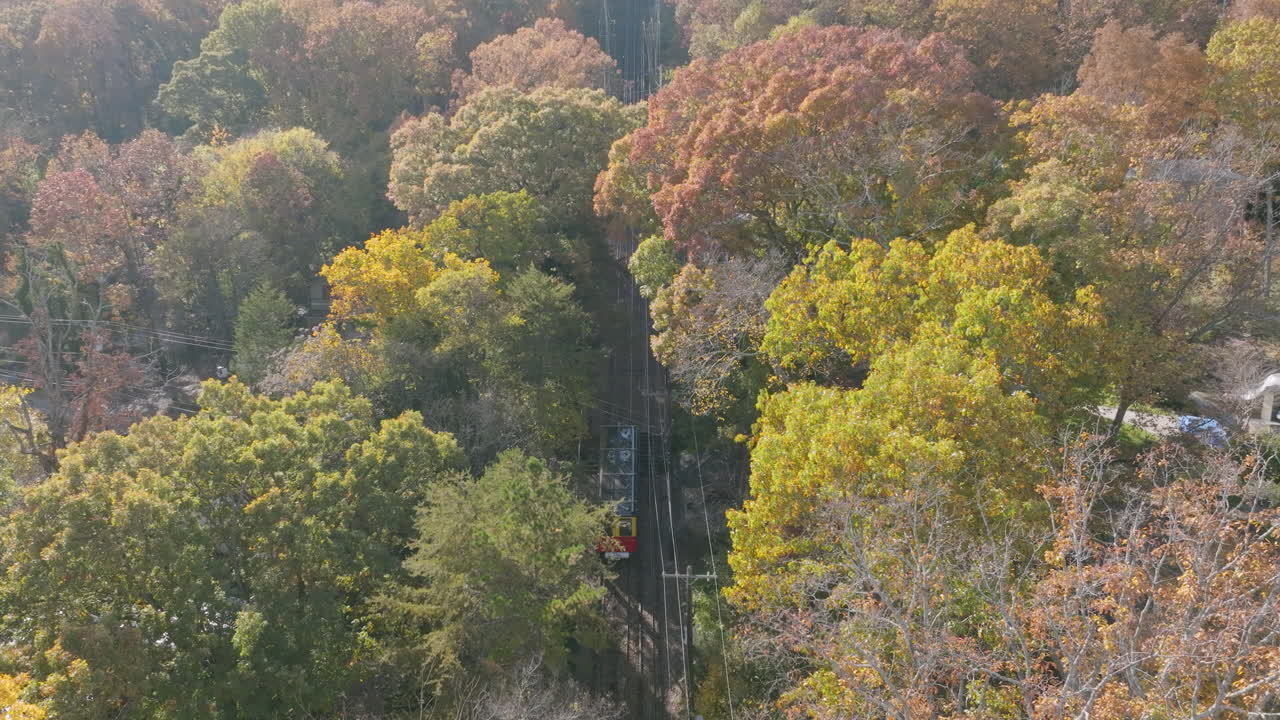 형형색색의 단풍나무 사이로 전망대 산을 천천히 오르는 경사열차를 보여주는 나무 사이의 항공 영상
