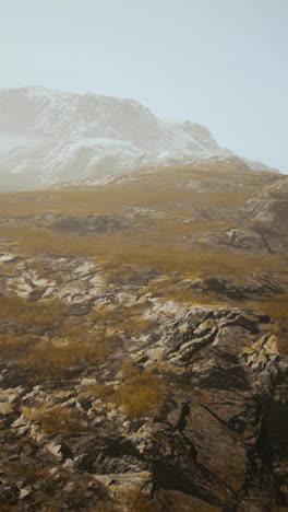 mountain landscape with snow covered peak and grassy slopes