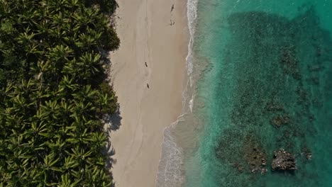 der strand von playa rincon und das türkisfarbene meer in las galeras, dominikanische republik