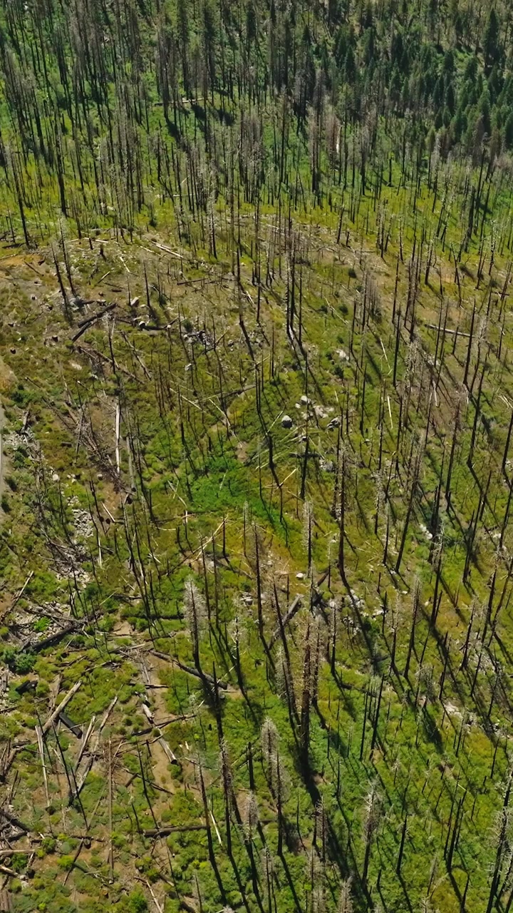 Monolite di granito unico situato nel Parco nazionale di Yosemite