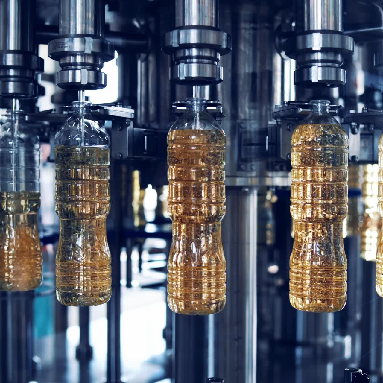 Automated production of oil in factory. Empty bottles are filling with golden liquid in the modern manufacture. Refined oil production.