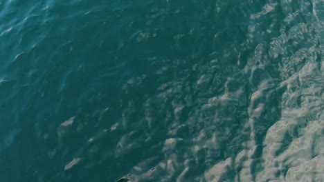 Reflecting-surface-of-turquoise-clear-water-from-a-driving-boat