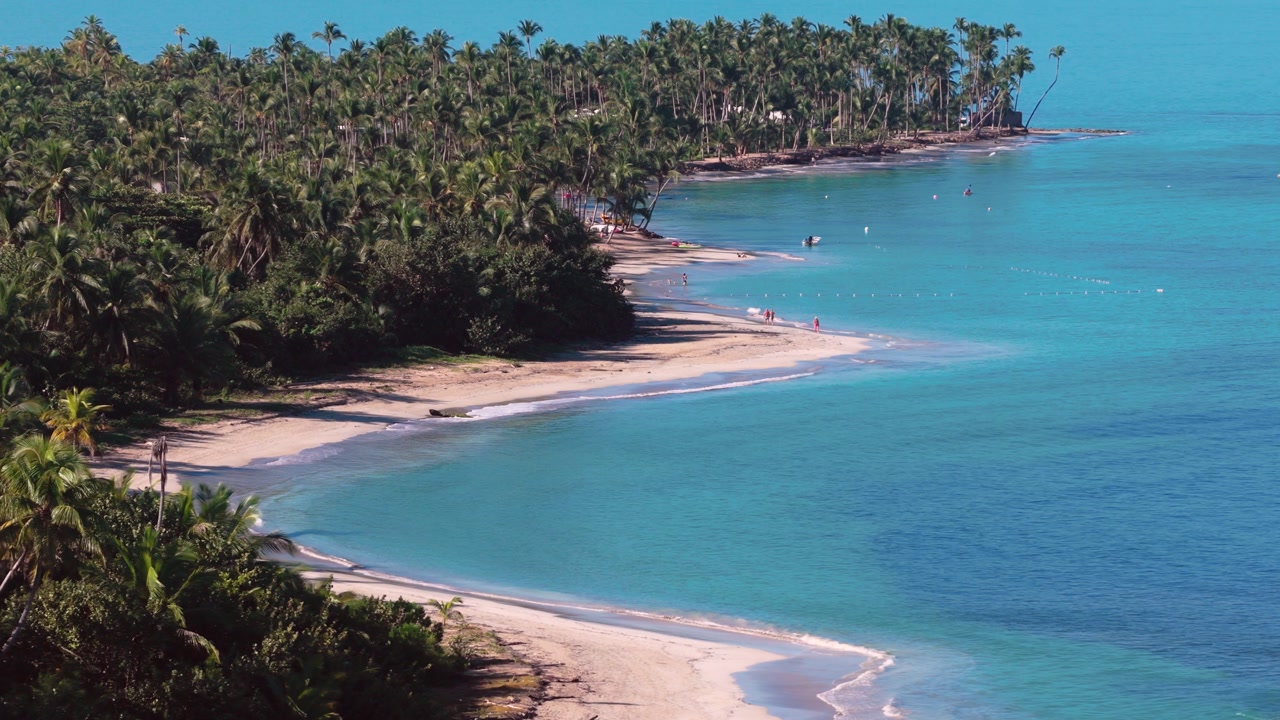 Aerial revealing shot ion turquoise Caribbean sea with sandy beach and dense palm tree forest on sunny day. Costa Esmeralda, Dominican Republic . Wide shot.