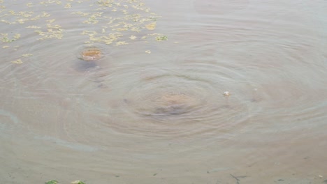 The-Bubbler-Australian-outback-Artesian-Spring-close-up