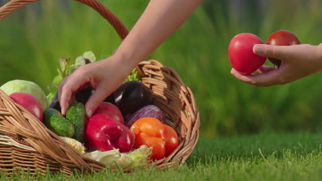 manos recogiendo verduras de una canasta