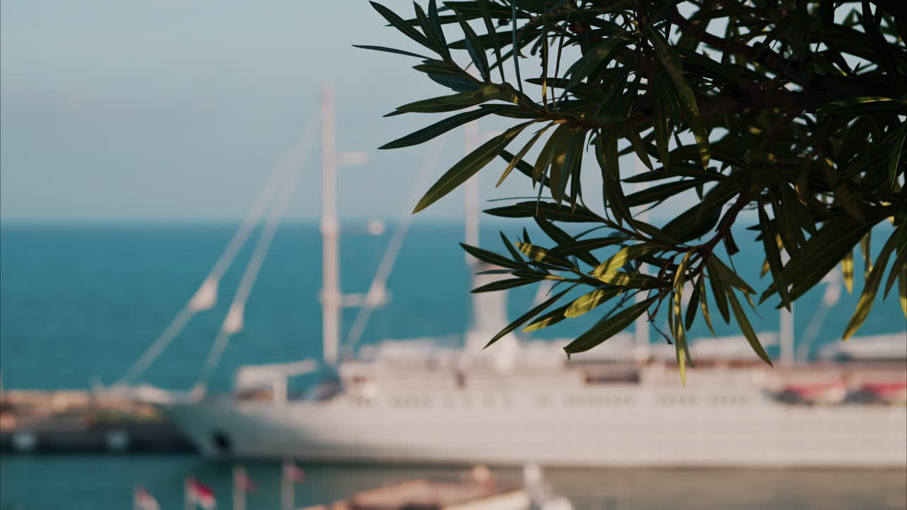 Blurry view of a cruise ship docked in the Monaco Marina in the evening