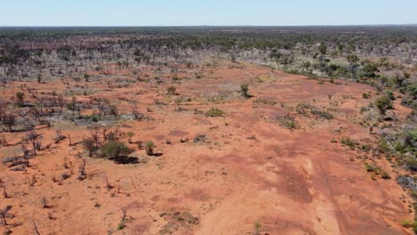 drone descendiendo en el remoto interior australiano