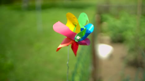 pinwheel toy slow motion on sunny day